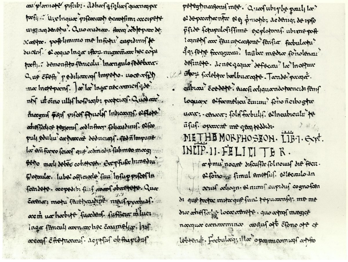 The oldest manuscript of the novel, written at Monte Cassino in the 11th century (Helm’s F): the end of Book I and the start of Book II